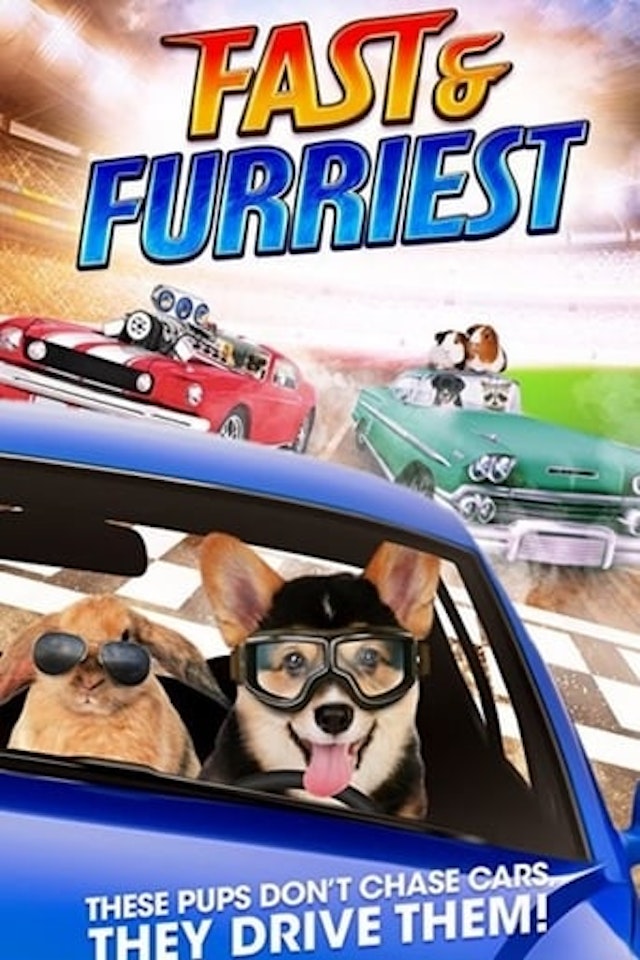 Fast and Furriest