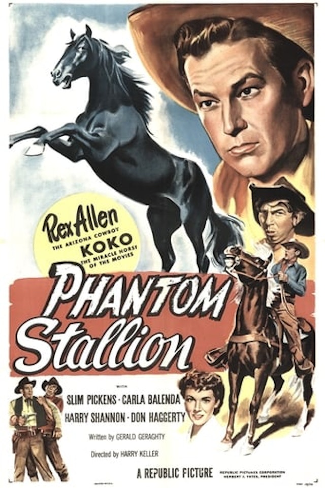 Phantom Stallion