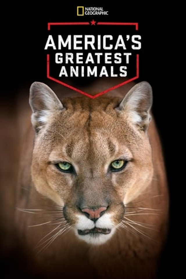 America's Greatest Animals