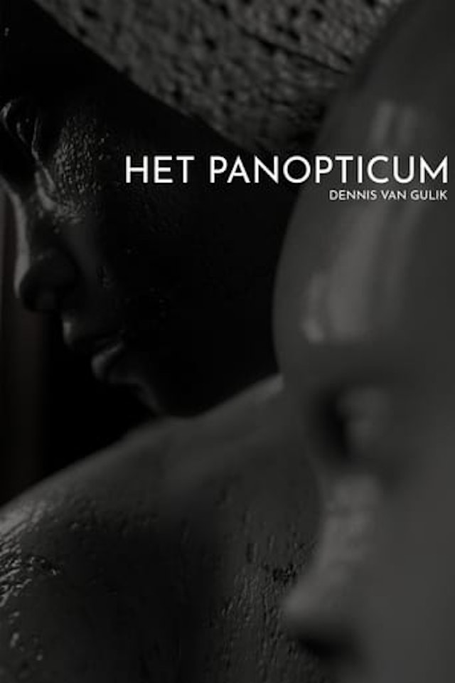 Het Panopticum