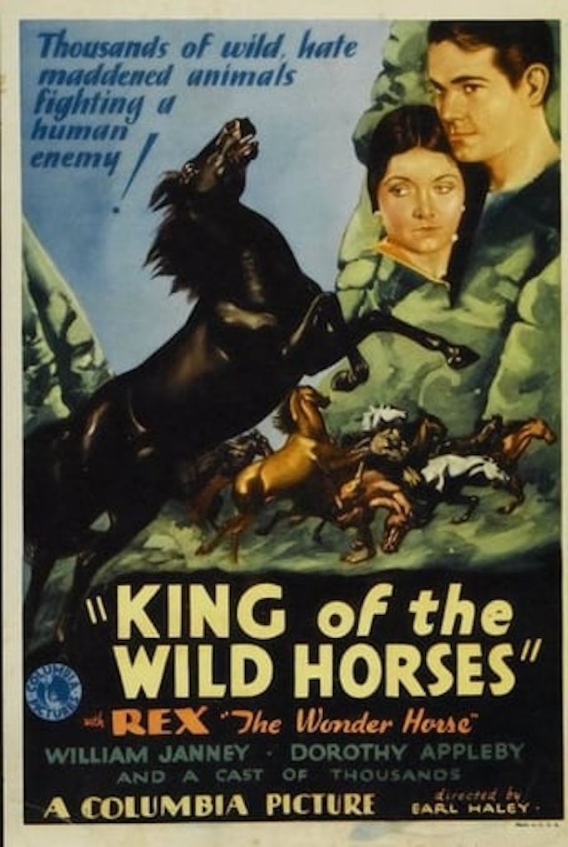 King of the Wild Horses