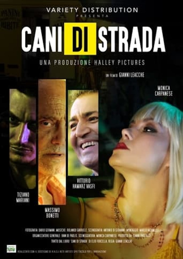 Cani di strada