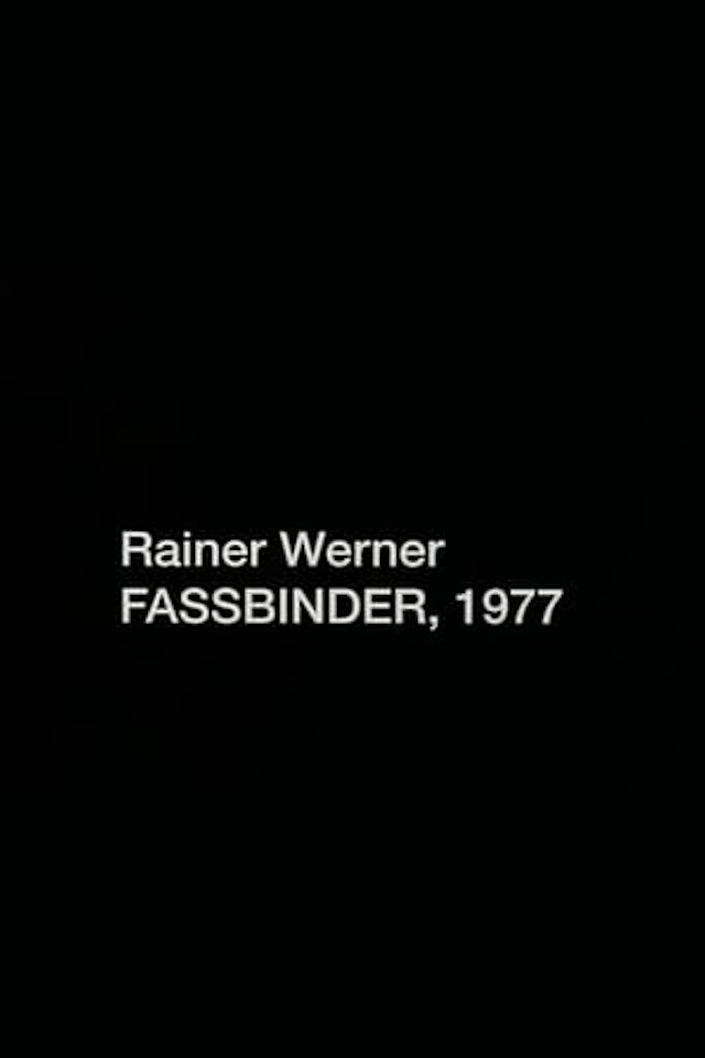 Rainer Werner Fassbinder, 1977