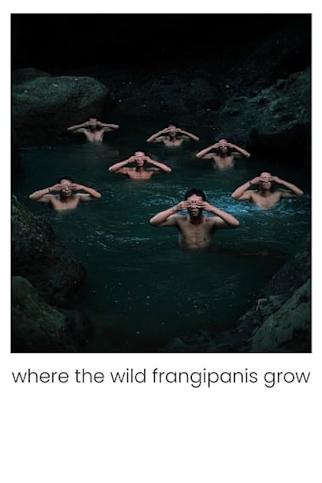 Where the Wild Frangipanis Grow