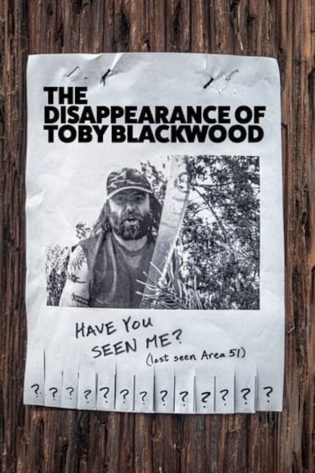 The Disappearance of Toby Blackwood