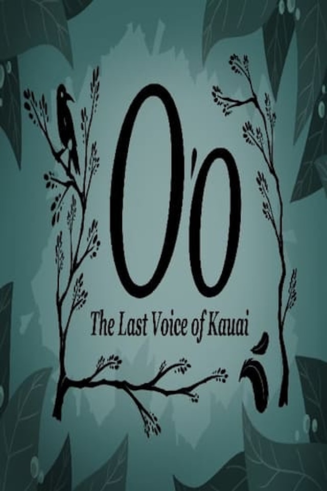 O'o: The Last Voice of Kauai