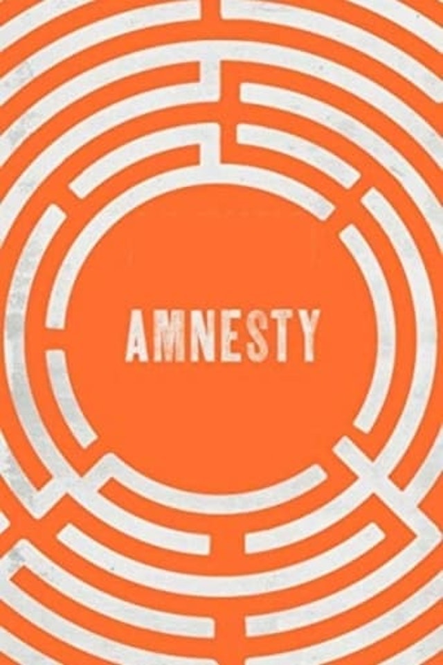 Amnesty