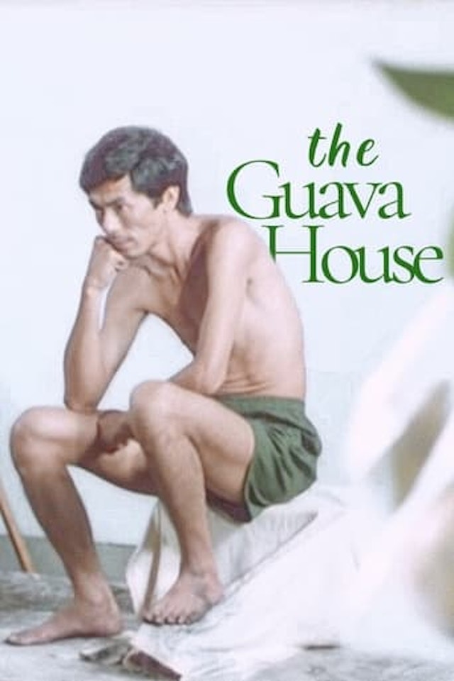 The Guava House