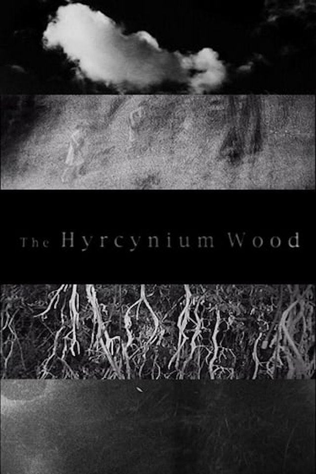 The Hyrcynium Wood