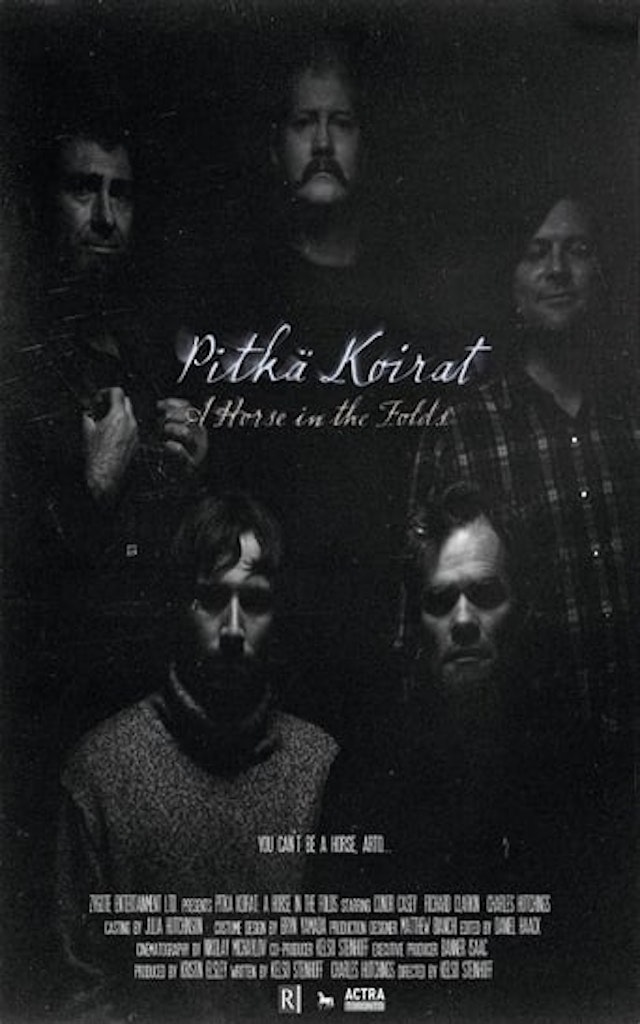 Pitka Koirat: A Horse in the Folds