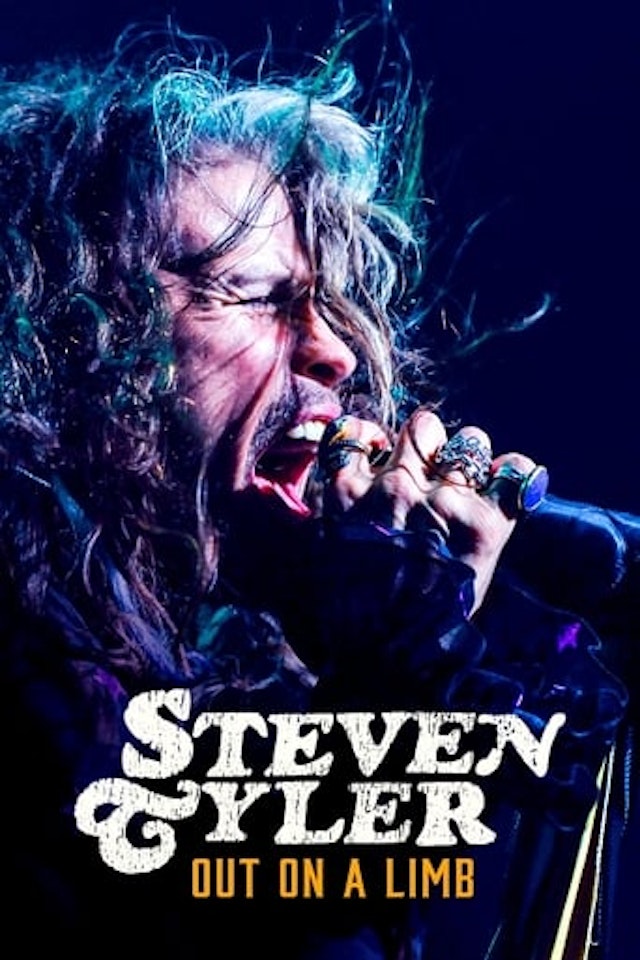 Steven Tyler: Out on a Limb