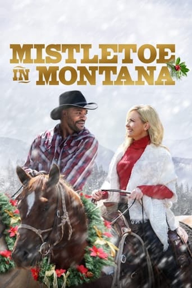 Mistletoe in Montana