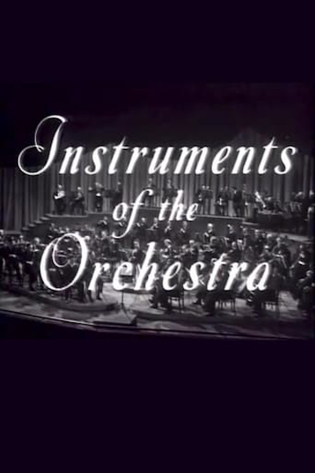 Instruments of the Orchestra