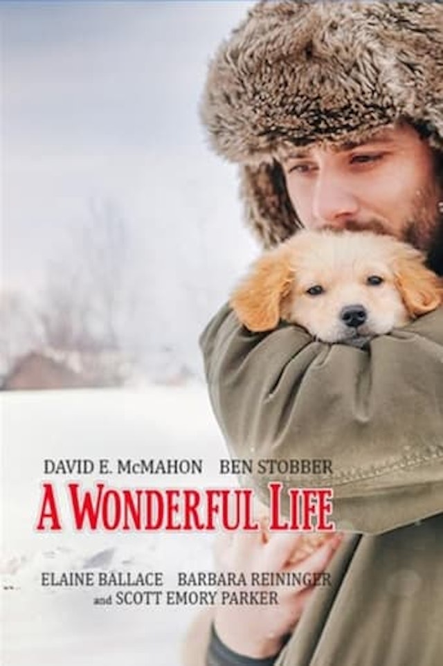 A Wonderful Life