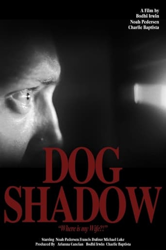 Dog Shadow