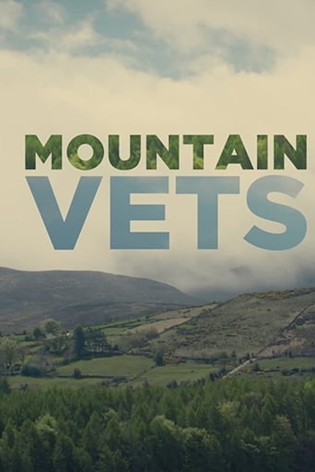 Mountain Vets