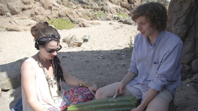 Crystal Fairy & the Magical Cactus